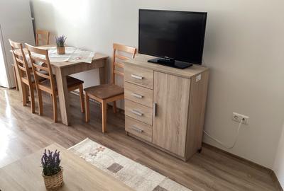 Garsonieră decomandată în Turnișor - 7