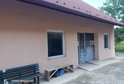 Casa de vanzare sau inchiriere cu spatiu comercial Tg Mures - 11