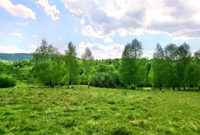 25.000 mp TEREN IDEAL AFACERE TURISM – AMENAJARE LAC DE PESCUIT, CIUCEA - CLUJ - 17