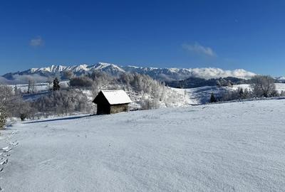 Teren satul Sirnea, intravilan, deschidere 120 m la drum asfaltat, - 1