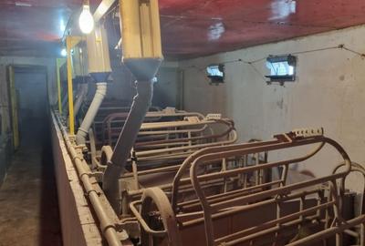 Spațiu industrial, de 1,600 mp, în Exterior Nord - 9