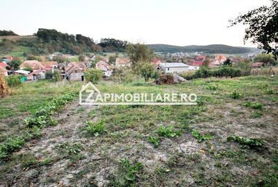 De vanzare 2 case cu 4.900 mp teren, Livezeni 0% comision - 3