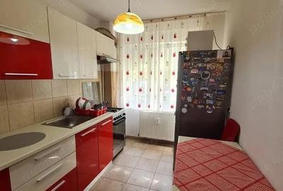 Apartament cu 2 camere semidecomandat în Vest - 4