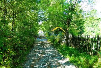 Teren intravilan de vanzare, Valea Doftanei Prahova - 2