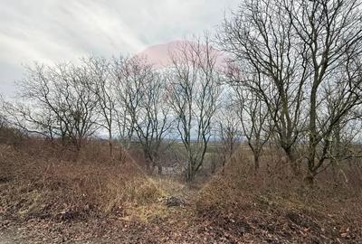 Teren în Central - 6