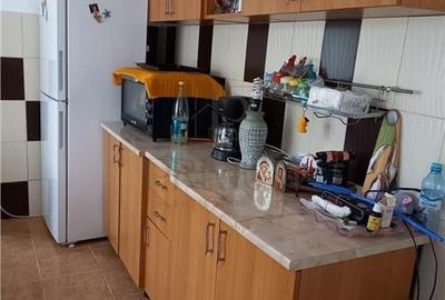 Sanmihaiul Roman- teren generos- magazie depozitoare- pomi fructiferi - 4