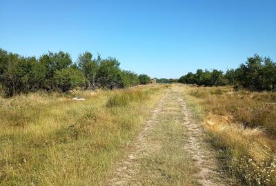 Spațiu comercial, în Ciocănești - 1