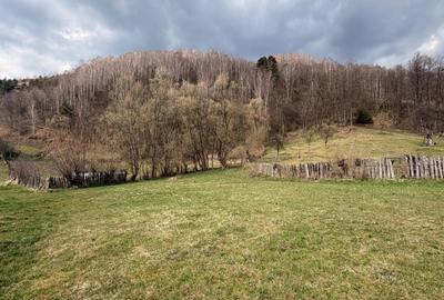 Teren de 767 mp, în Exterior Vest - 1