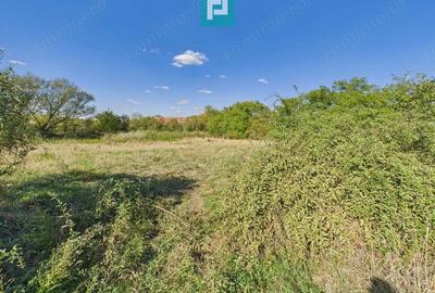 Teren intravilan 6115mp pentru investi?ii Firiteaz - 5