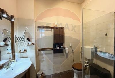 Vanzare apartament centrul istoric  str. Dr. Ioan Lupas - 6