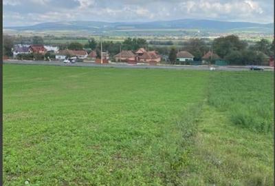 Teren agricol extravilan de 3991 mp, în Feldioara