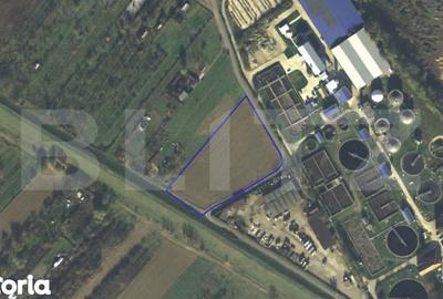 Teren de 8000 mp, în Titulescu - 1