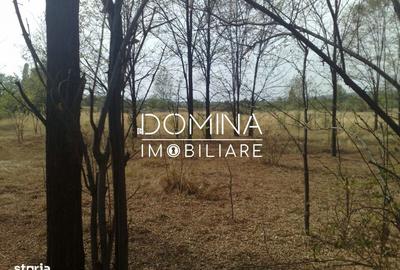 Spațiu comercial, în Polovragi - 6