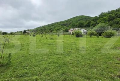Teren de 1450 mp, în Central - 4