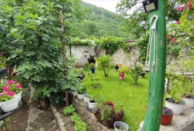 Pensiune in Sasca Montana - 2