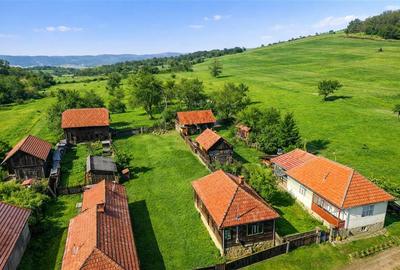 Teren Construcții intravilan de 2819 mp, în Exterior Est - 13