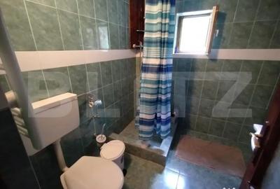 Casă cu 3 camere cu Teren 25000 Mp în Năsăud - 10