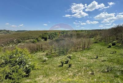 Teren de 659000 mp, în Central - 11