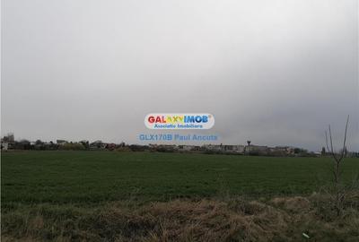 Teren Balotesti Saftica 1250 mp str Lacului cu utilitati apropiere - 3