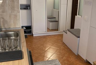 Apartament cu 3 camere decomandat, mobilat în Păcurari - 4