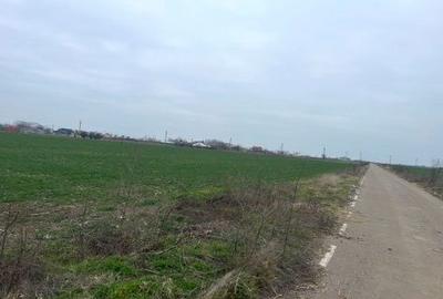 Teren de 17000 mp, în Gostilele - 2