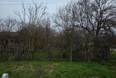 Teren de 5000 mp, în Curcani - 4