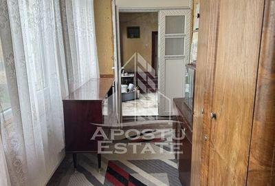 Casă cu 5 camere cu Teren 3383 Mp în Remetea Mare - 5