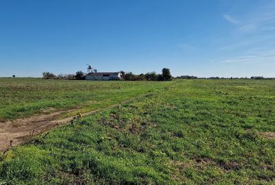 Costinesti loturi intravilane construibile 400-600mp direct de la proprietar - 5