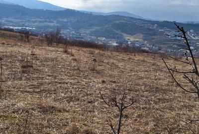 Teren de 4300 mp, în Central - 8