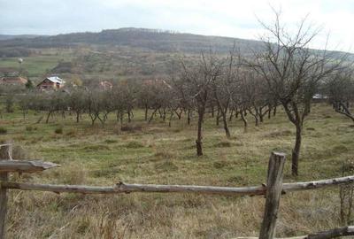 Teren de 10400 mp, în Central