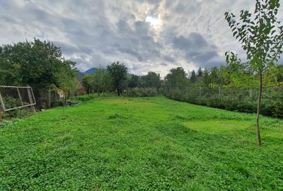 Casă individula in Sacele situata pe Bulevardu Brasovului Casă individula in Sacele situata pe Bulevardu Brasovului - 16