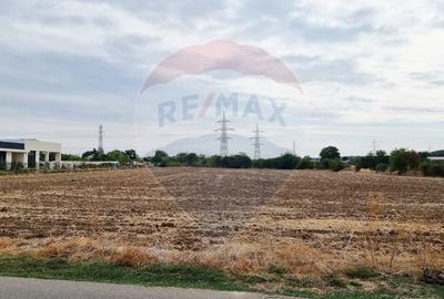 Vanzare Teren 9,032mp Balotesti / Strada I. C. Bratianu - 14