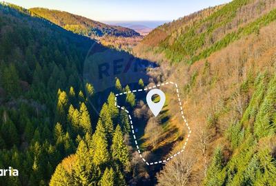 Teren de 17939 mp, în Mănești - 7