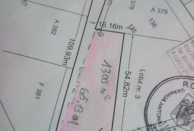 Spațiu comercial, în Cărpiniș - 4