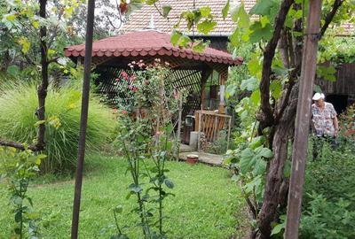Casă cu 5 camere în Aluniș - 1