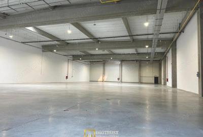 Hala Industriala Moderna de Inchiriat TRC Park Arad - 1