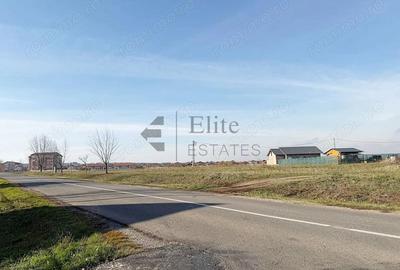 Teren intravilan 550 mp de vanzare in Paleu - 3