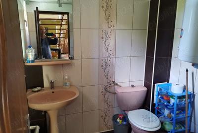 Cabana de vacanta Casoaia jud. Arad - 5