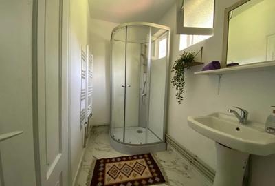 Casa de vanzare in sat Sarbi com.Budesti.Traieste linistea satului autentic maramuresan! - 9