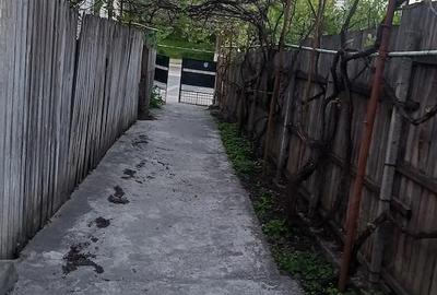 Casă cu 4 camere cu Teren 312 Mp în Valea Rosie - 1