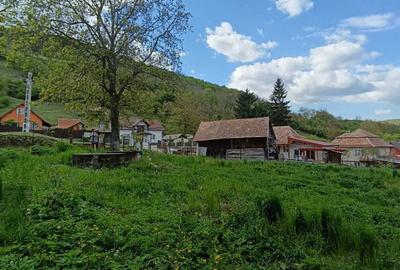 Spațiu comercial, în Moldovenești - 2