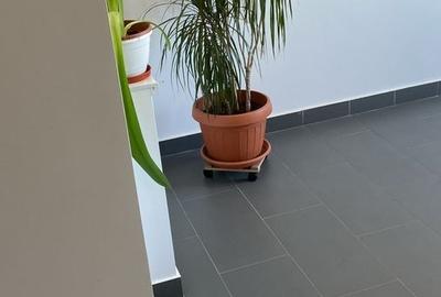 Apartament cu 2 camere decomandat, mobilat în Olteniței - 10