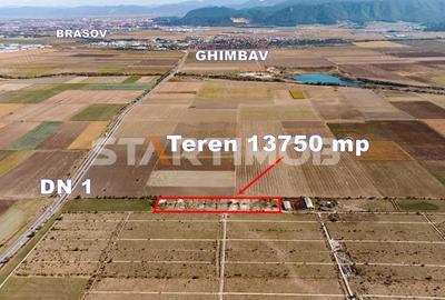 Teren de 13750 mp, în Sud - 6