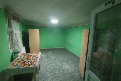 Casă cu 4 camere cu Teren 518 Mp în Pecica - 6