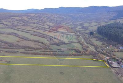 Teren 5.800 mp Purcareni curent, gaz, apa / Strada 30 de... - 10