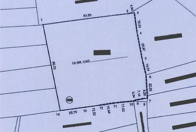 RECO teren intravilan Cefa cu proiect casa RECO teren intravilan Cefa cu proiect casa - 4