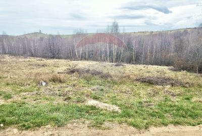 Teren intravilan, zona Casele Micesti - 5