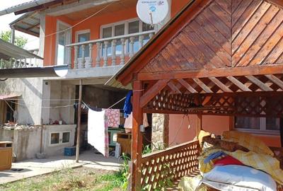 Casa garnde , Carpinis Timisoara - 1