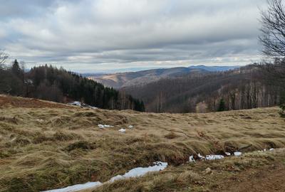 19,5 Ha  TEREN PEISAJ PANORAMIC SPECTACULOS zona turistica montana BULZ -  BIHOR - 2