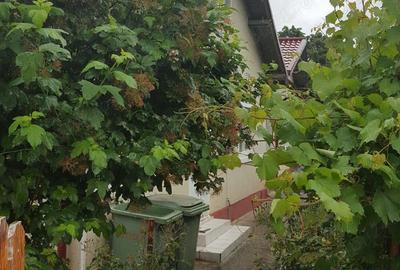 Casa sat Fanari, comuna Olari Prahova Casa sat Fanari, comuna Olari Prahova - 7